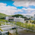 Trường đại học Yonsei - Học phí & Điều kiện tuyển sinh