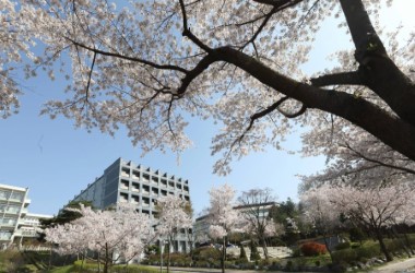 Trường Đại Học Myongji: Kiến Trúc & Kỹ Thuật Danh Tiếng Seoul