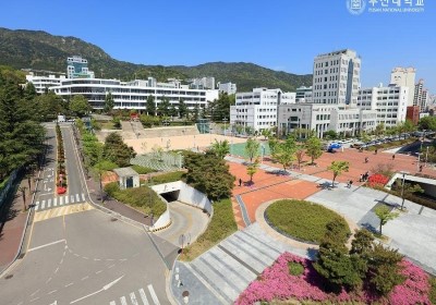 Đại Học Quốc Gia Busan: Review Chi Tiết Học Phí, Ngành Học & Ký Túc Xá