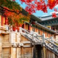 7 Lý Do Đi Du Học Hàn Quốc Khiến Bạn Không Thể Bỏ Qua Năm 2025