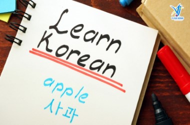 7 Cách Học Từ Vựng Tiếng Hàn Hiệu Quả Cho Người Mới Bắt Đầu