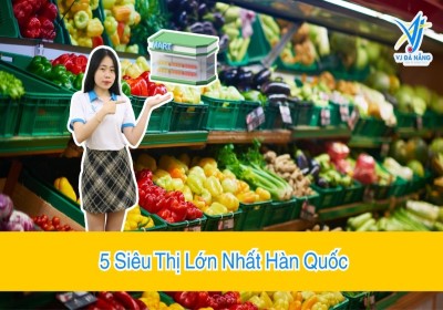 Danh sách 5 Siêu Thị Lớn Nhất Hàn Quốc mới nhất 2025!