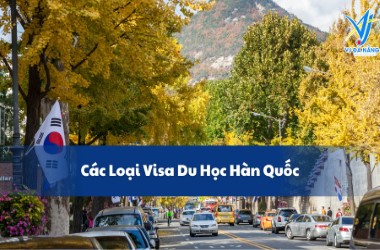 Các loại visa du học Hàn Quốc - D2, D4 & Cách chọn phù hợp