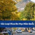 Các loại visa du học Hàn Quốc - D2, D4 & Cách chọn phù hợp