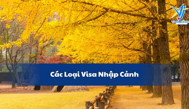 Các loại visa nhập cảnh Hàn Quốc - C3, D, E, F, H đầy đủ