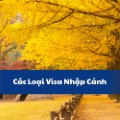 Các loại visa nhập cảnh Hàn Quốc - C3, D, E, F, H đầy đủ